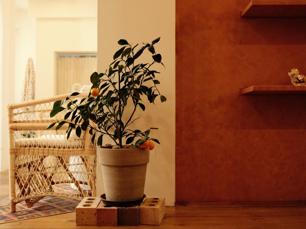 22 Affirmations for the&nbsp;Soul